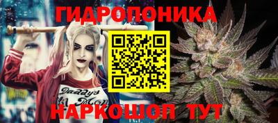 бошки Краснознаменск